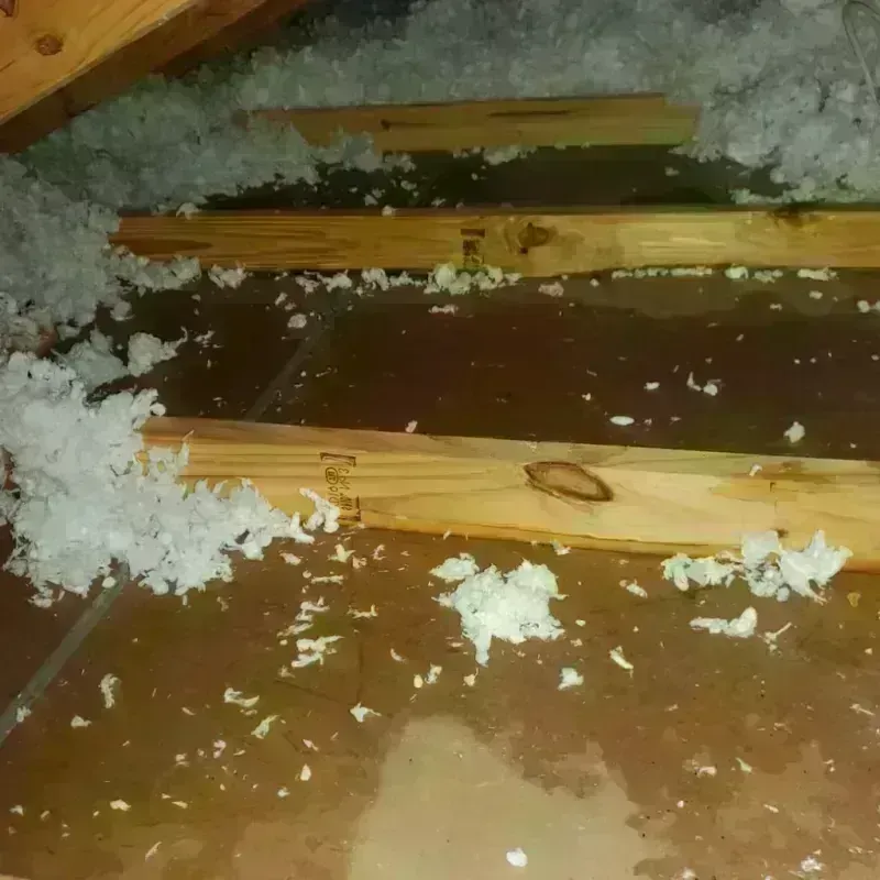 Attic Water Damage in Crest, CA