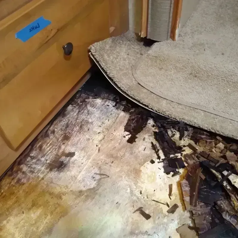 Wood Floor Water Damage in Crest, CA